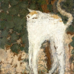 Le Chat Blanc (Il gatto bianco) di Pierre Bonnard - Stampa artistica di qualità premium