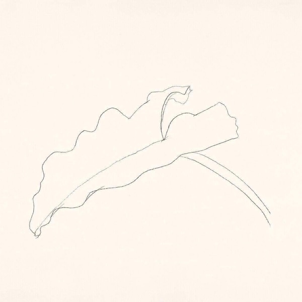 Stampa con foglie di Kelly di Ellsworth: arte botanica minimalista