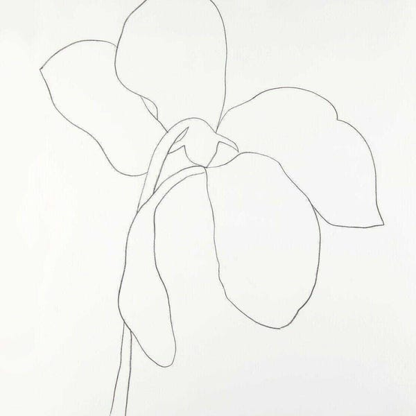 Stampa artistica Ellsworth Kelly Cyclamen: carta fine art opaca