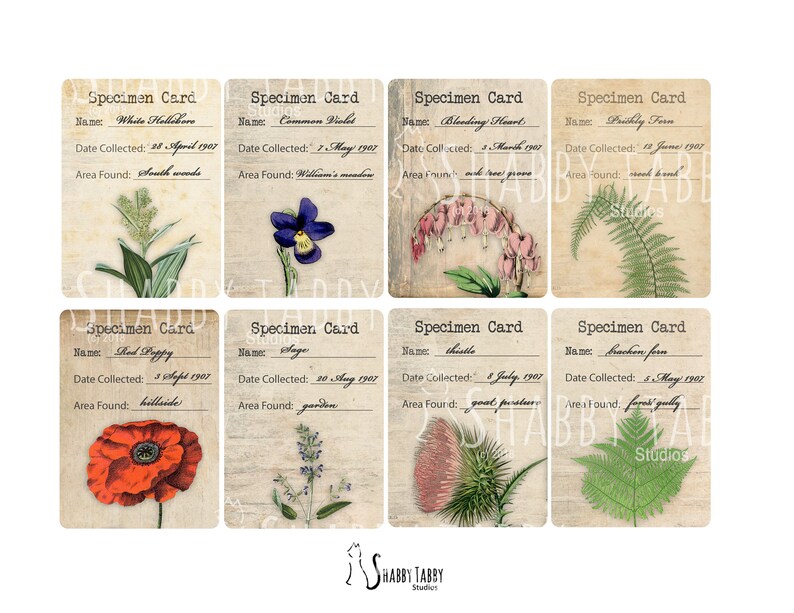 DIGITAL Botany Journal Kit Instant download the botanist Etsy