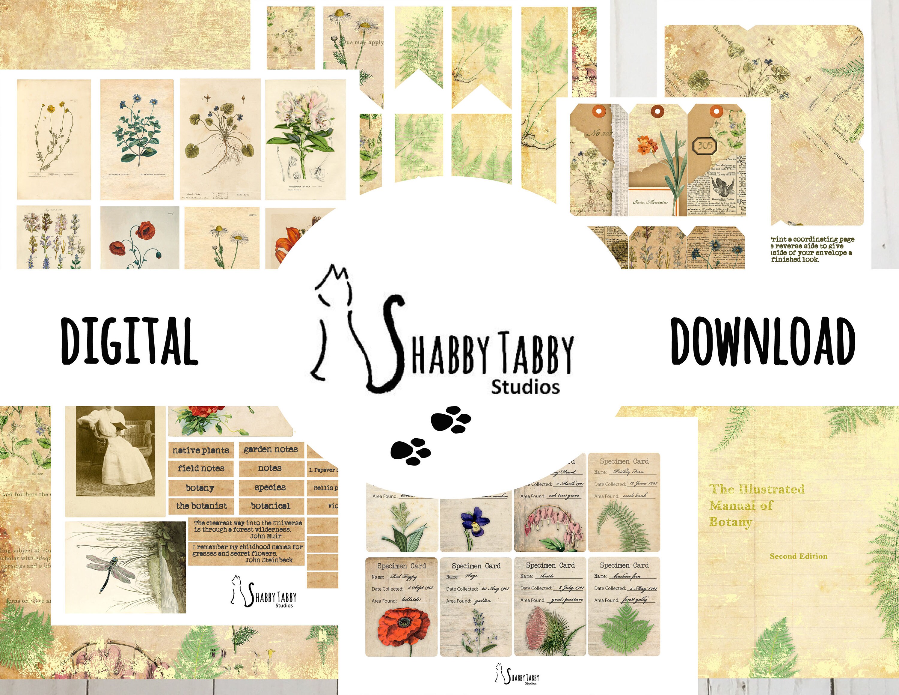 DIGITAL Botany Journal Kit Instant download the botanist Etsy