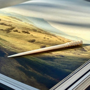 May include: A white, textured toothpick lying on a book with a landscape painting of a field with hills in the background.