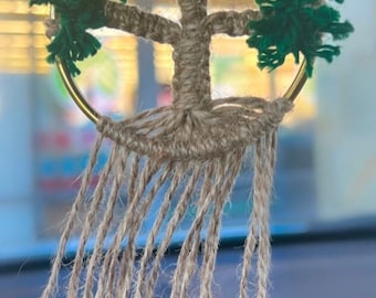 Árbol de Josué en miniatura