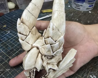 Shgaru Magara Skull, Articulated Jaw