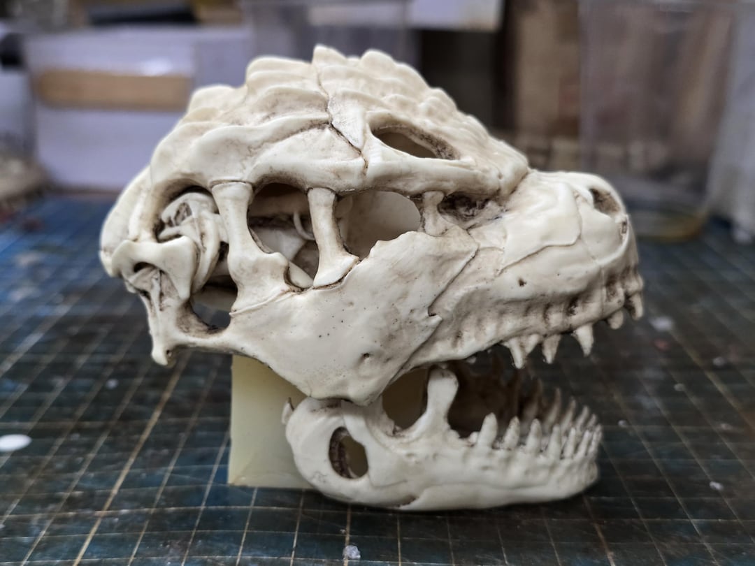 ゴジラスカル　Godzilla skull　ガレージキット　頭骨　頭蓋骨 ゴジラスカル Godzilla skull ガレージキット 頭骨 頭蓋骨