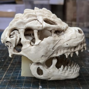 Go-dzilla Minus One Skull (kaiju) - Etsy