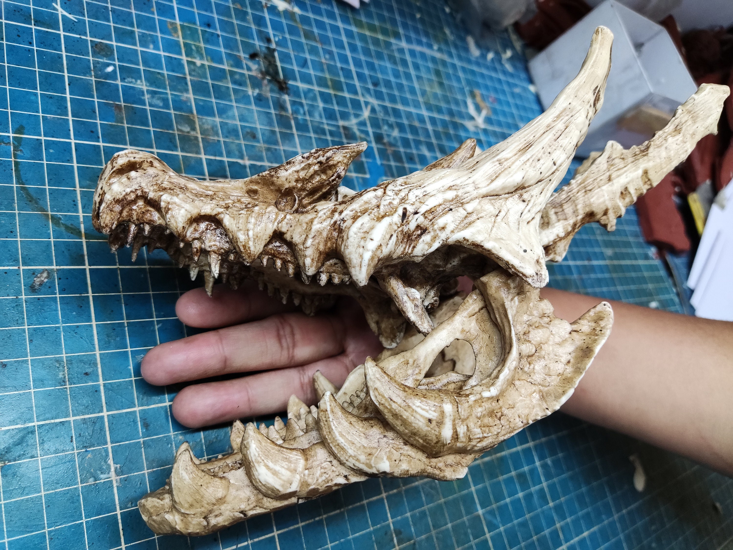Dragon Lagia-crus Skull With Articulated Jaw - Etsy