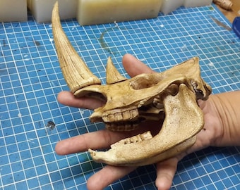 1/6 Scale rhinoceros Skull