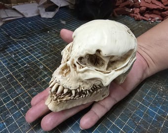 Based on Venom Skull 1/3 Scale (double moveable jaw)