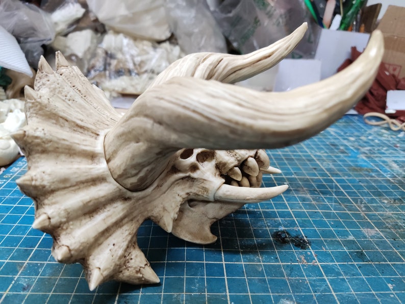 Puede incluir: Una r&eacute;plica de cr&aacute;neo de dinosaurio blanca y detallada con dos cuernos grandes y una gola. El cr&aacute;neo est&aacute; sobre una estera azul.