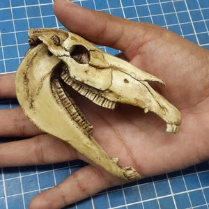 Horse Skull 1/6 Scale Replica image 1
