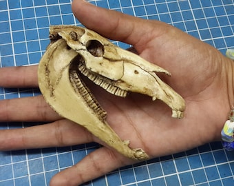 Horse Skull 1/6 Scale Replica