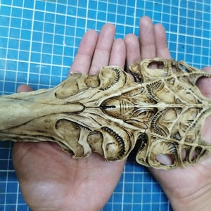 Alien Queen Skull &quot;1/12 scale&quot;
