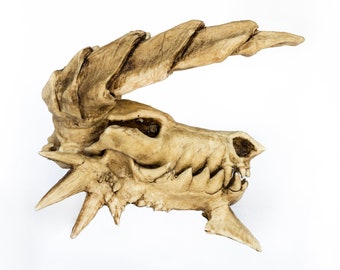 Dragon Zin-ogre Skull Articulated Jaw - Etsy