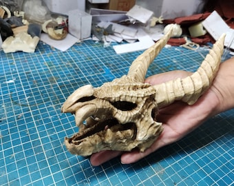 May include: A detailed, beige dragon skull with intricate bone structure and horns. The skull is held in a hand, showcasing its size and detail.