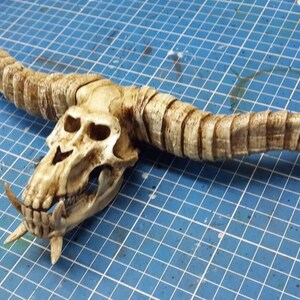 Rajang Skull