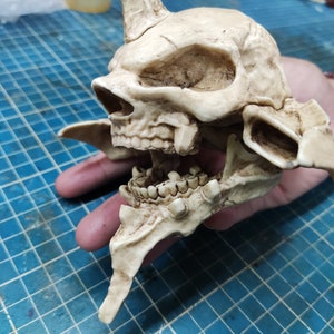 May include: A detailed, off-white, sculpted skull with horns and teeth. The skull is made of a hard, plastic-like material and appears to be a decorative item.