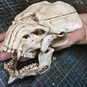 Op de afbeelding: Een gedetailleerde, gebroken witte schedelsculptuur met een wijd open bek, scherpe tanden en een ingewikkelde botstructuur. De sculptuur wordt in een hand gehouden, wat de grootte en details laat zien. De schedel lijkt van een fictief wezen te zijn.