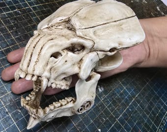 Leatherback Skull (Kaiju)