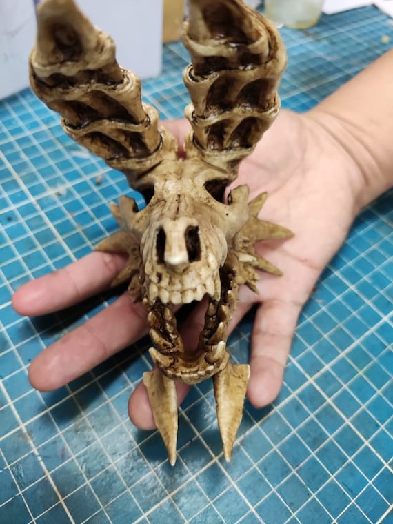 Dragon Zin-ogre Skull Articulated Jaw - Etsy