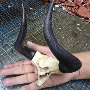 Puede incluir: Una escultura detallada de una calavera con cuernos negros grandes y curvados. La calavera es blanquecina con dientes y cuencas de los ojos visibles. Los cuernos son lisos y oscuros, contrastando con el color de la calavera. La escultura se sostiene en una mano.