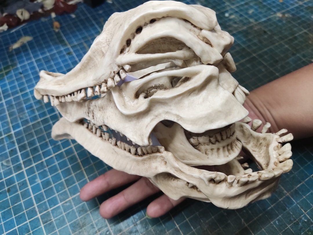 Godzilla Skull Model. Kaiju Head Replica. Handmade Godzilla