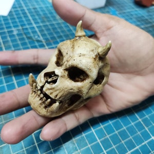 Gamorrean Skull Moveable Jaw