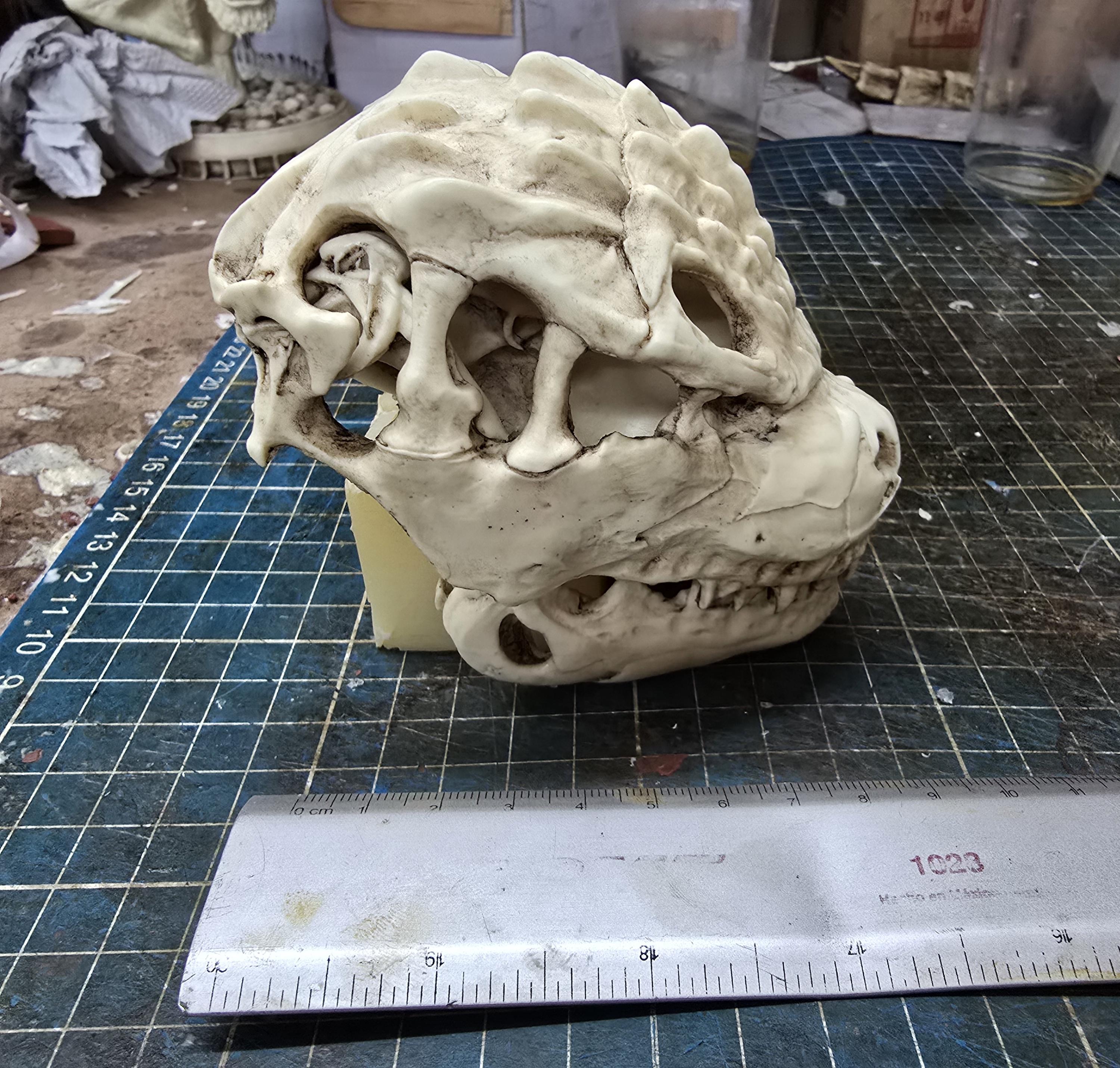 ゴジラスカル Godzilla skull ガレージキット 頭骨 頭蓋骨 Kaiju God