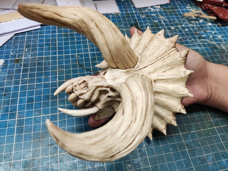 Puede incluir: Un cr&aacute;neo de dinosaurio de cer&aacute;mica blanca, detallado, con cuernos y gola. El cr&aacute;neo est&aacute; montado en una pared y parece ser una pieza decorativa.