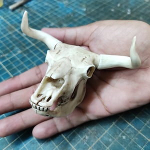 Bull/Cow Skull 1/6 Scale Moveable jaw