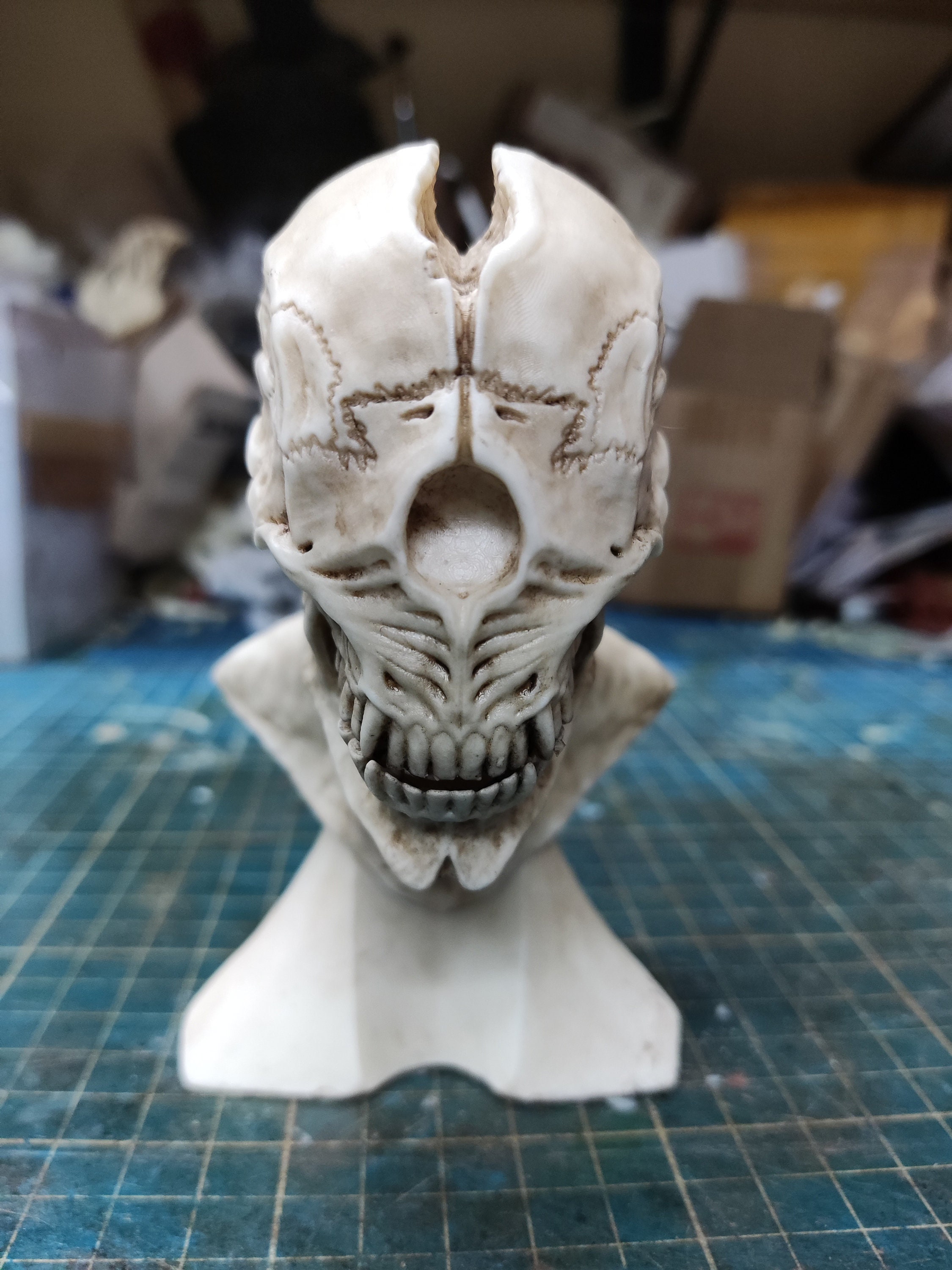HASADHU SHINGON SKULL No.01 WHITE - SECRET BASE ONLINE STORE
