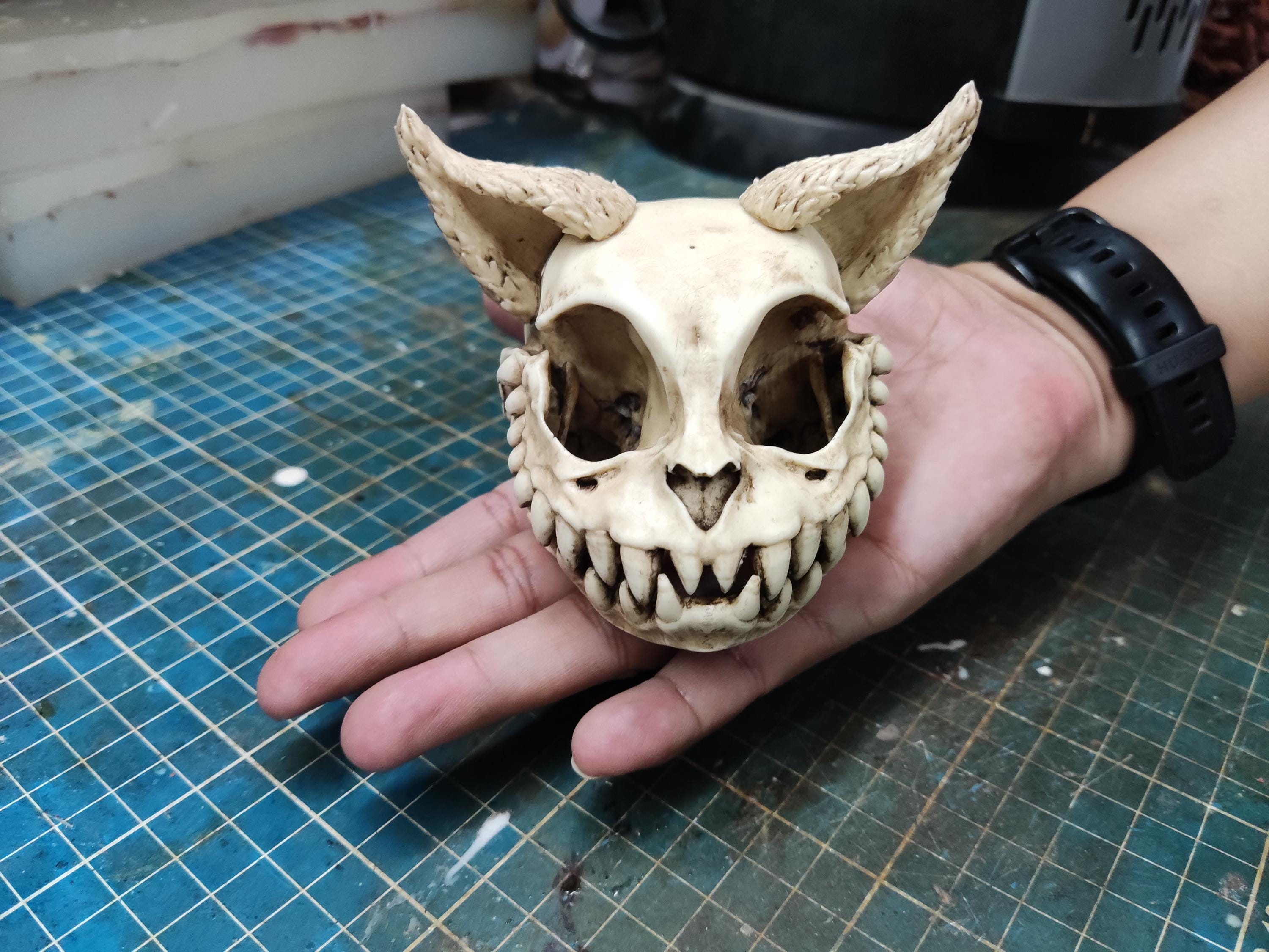 Cheshire Cat Skull Replica: Alice in Wonderland Resin