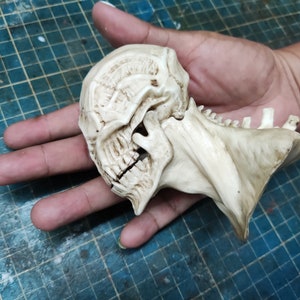 Könnte beinhalten: Eine detaillierte, cremefarbene, plastische Schädelskulptur mit einer strukturierten Oberfläche. Der Schädel hat einen großen, offenen Kiefer und einen langen, dünnen Hals.