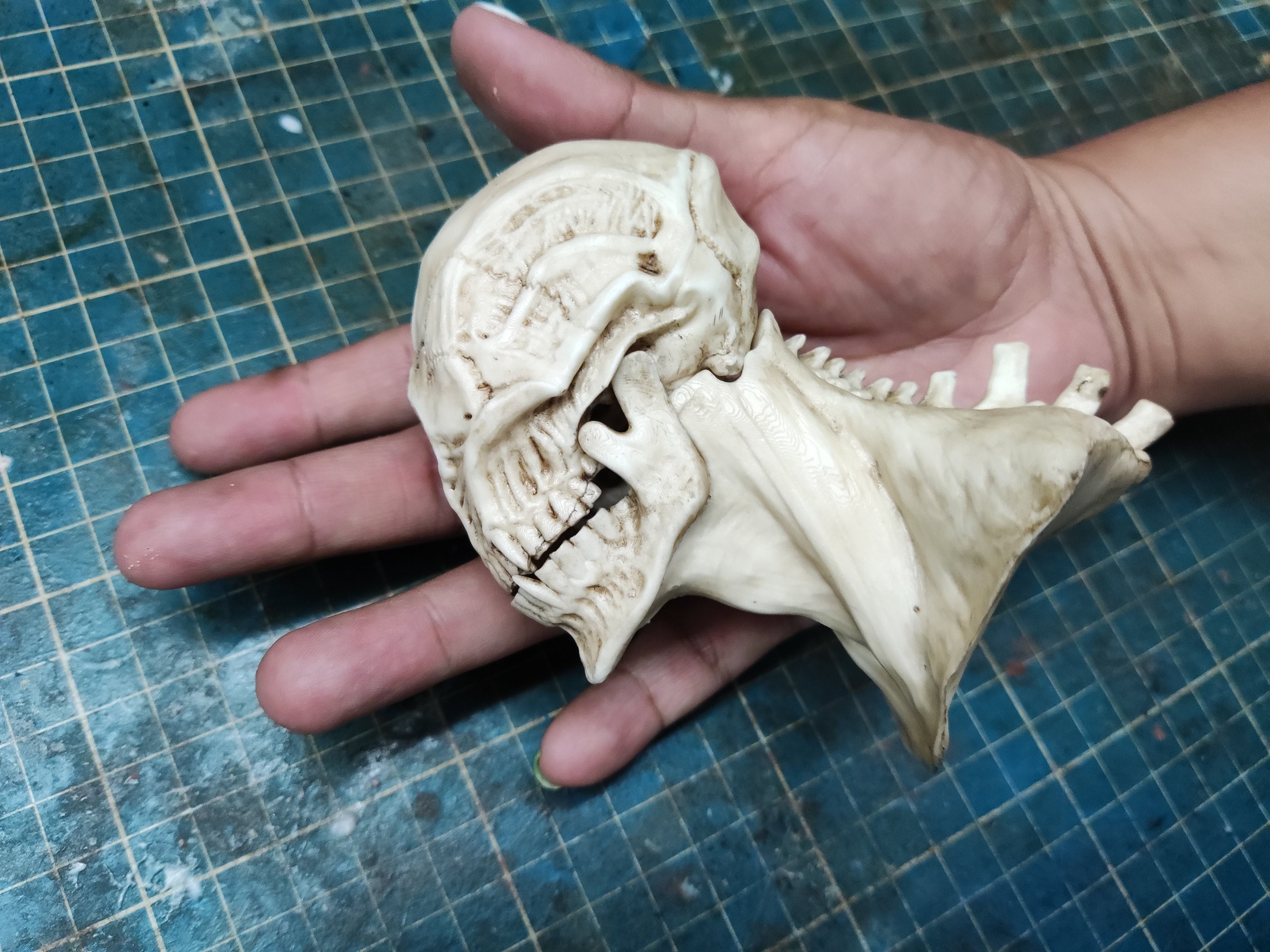 Hasadhu Shingon Skull Sculpture In White | eBay