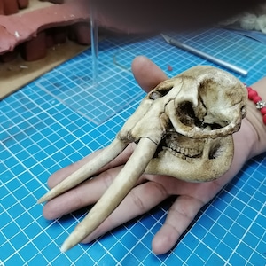 1/12 Scale Elephant Skull