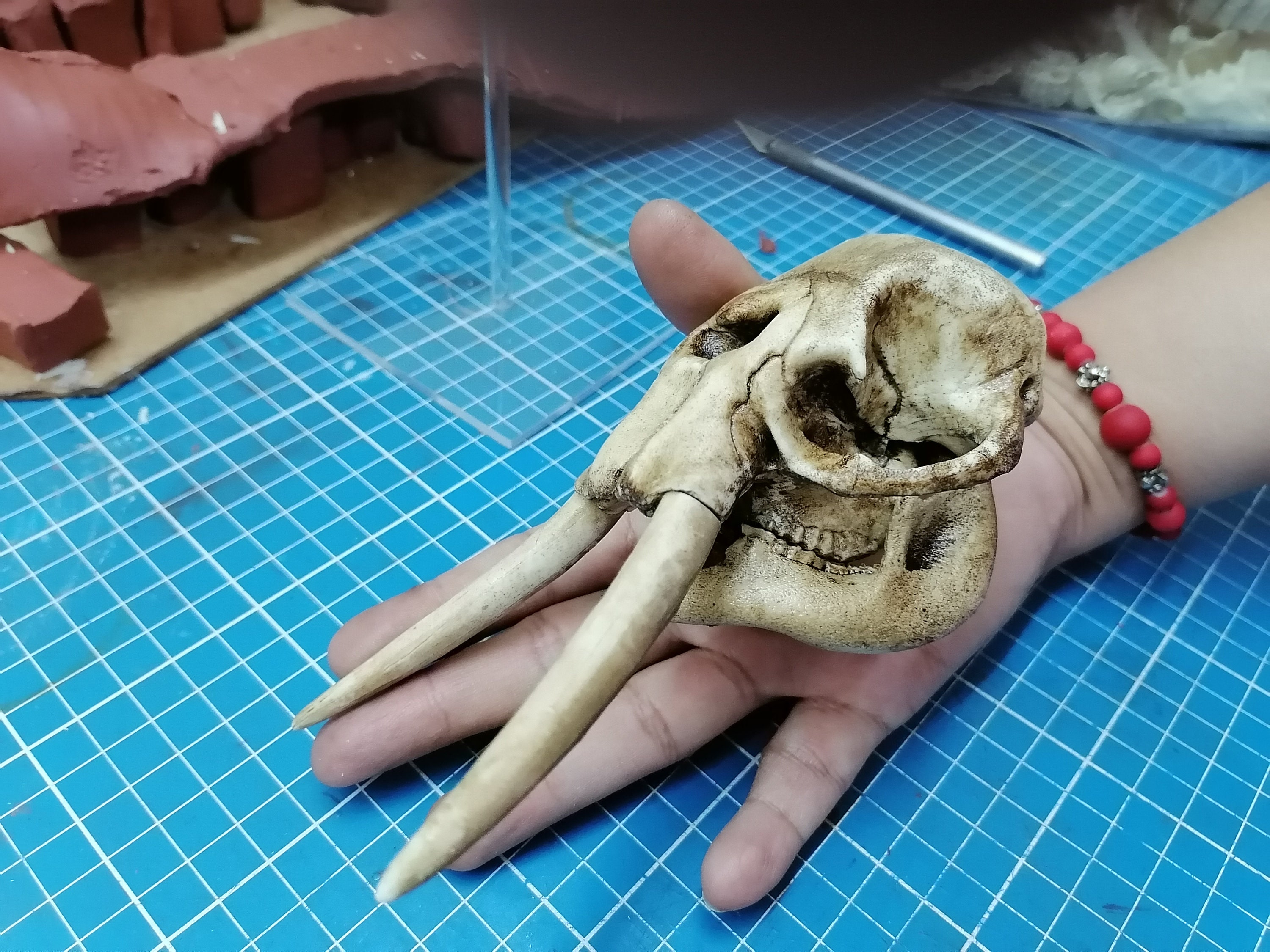 1/12 Scale Elephant Skull Etsy