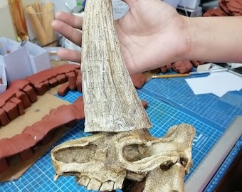 1/6 Scale Rhinoceros Ancient Skull(Elasmotherium)