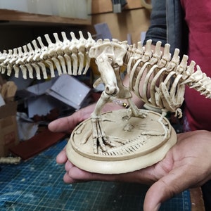 May include: A detailed, articulated dinosaur skeleton model, posed in a standing position with its head turned to the side. The skeleton is made of a light beige plastic and is mounted on a circular base.