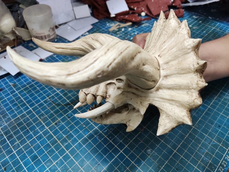 Puede incluir: Una r&eacute;plica de cr&aacute;neo de dinosaurio blanco y detallada con cuernos y una gola. El cr&aacute;neo est&aacute; sobre una superficie de rejilla azul.