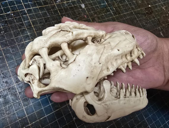 Go-dzilla Minus One Skull (kaiju) - Etsy