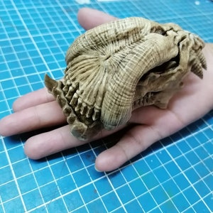 Alien skull &quot;Predator 2&quot; 1/6 scale (Trophy Skull)