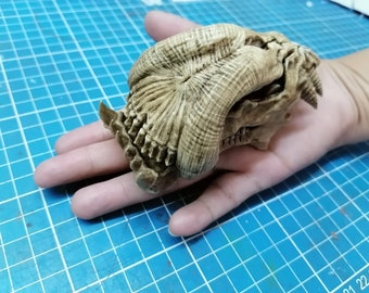 Alien skull "Predator 2" 1/6 scale (Trophy Skull)