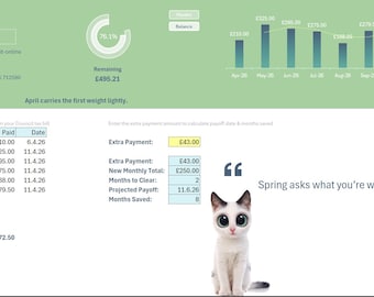 Advanced Council Tax Tracker
