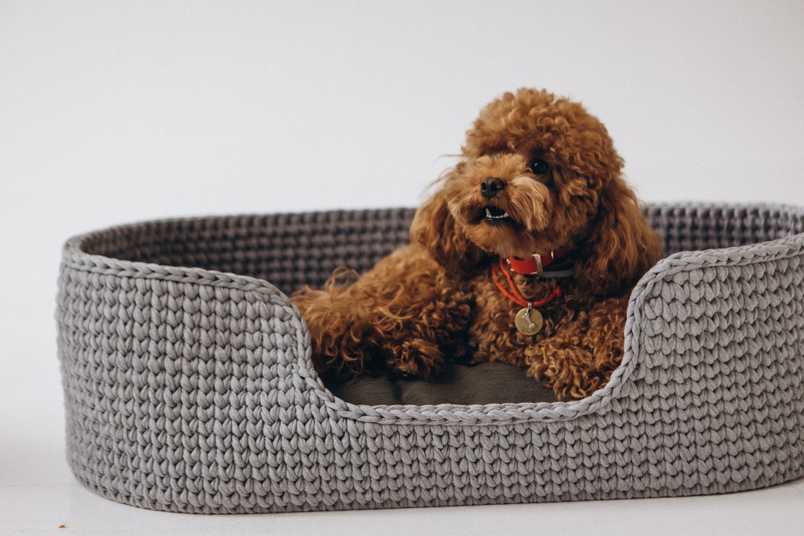 Dog bed Crochet pet bed Medium dog bed 36 colors Etsy
