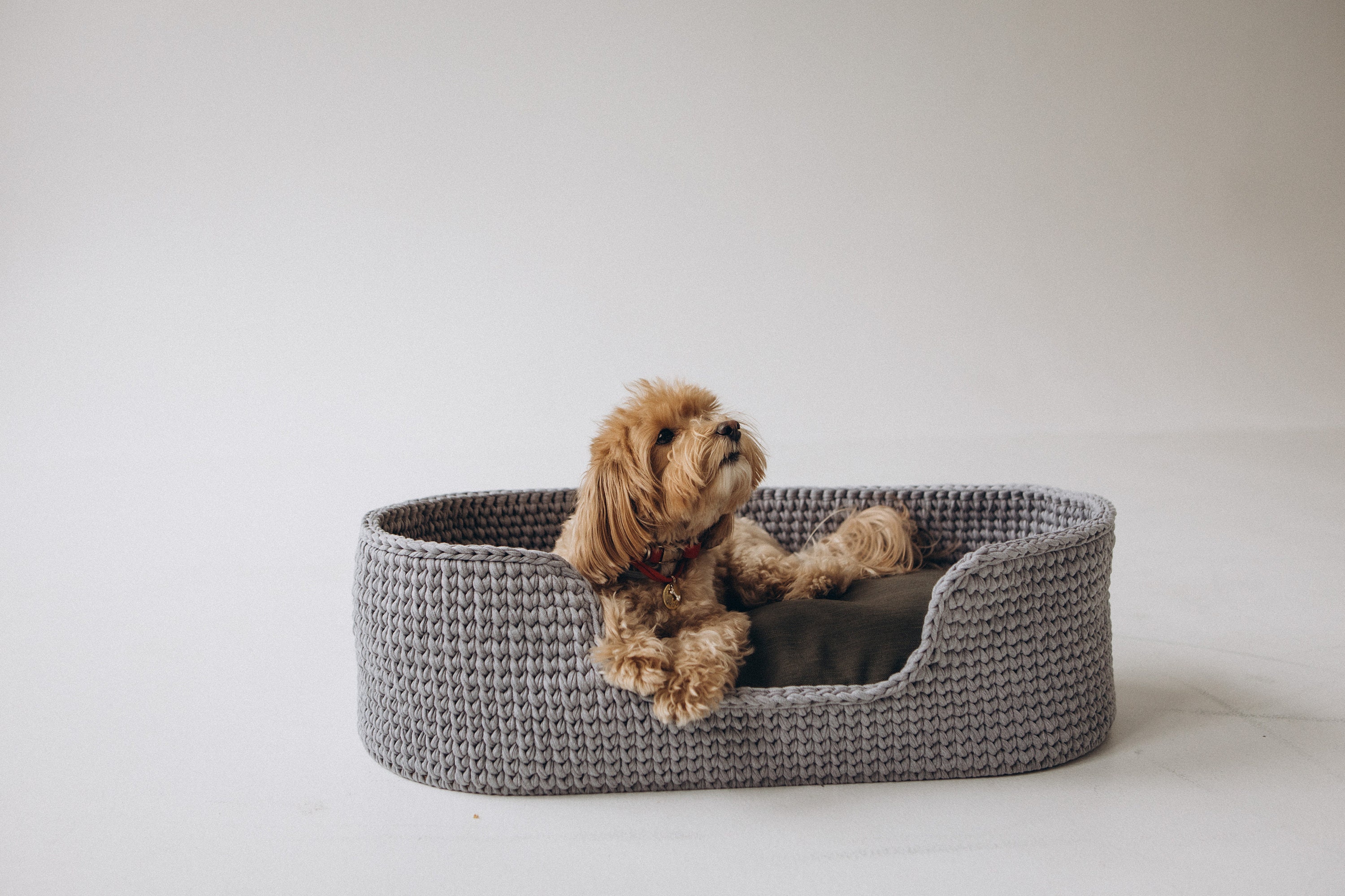 Dog bed Crochet pet bed Medium dog bed 36 colors Etsy
