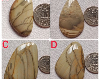 Attractive Willow Creek Jasper Gemstone Cabochon Mix Shape And Size For Jewelry Making Loose Willow Creek Jasper Cabochon