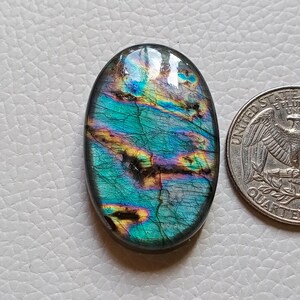 May include: An oval-shaped labradorite gemstone featuring iridescent flashes of blue, green, and yellow with dark internal inclusions. The stone is positioned next to a United States quarter coin for scale, showing its relative size.