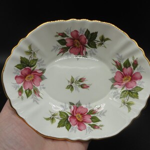 Paragon Fine Bone China Prairie Rose Dish made in England, Sammlerstück, kanadische Provinz Blumen, Prärie Rosen-Teller, Vintage Blumenteller