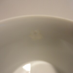 May include: A close-up of a white ceramic toilet bowl with a small brown stain in the centre.