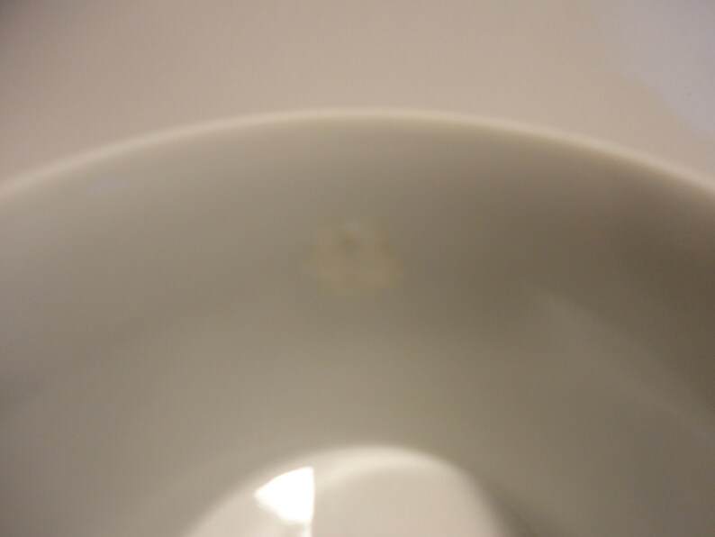 May include: A close-up of a white ceramic toilet bowl with a small brown stain in the centre.